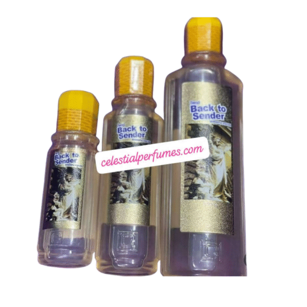 BACK TO SENDER {2} 500ml