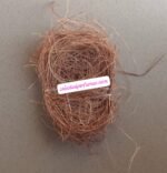 LOCAL SPONGES [6PIECES] - Image 3